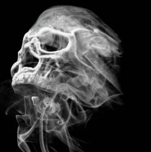 Meet your Posher, Sal